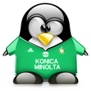 Penguin pingouin pinguino 870
